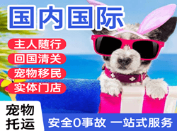 奇台江布拉克机场空运国际宠物托运 【国
